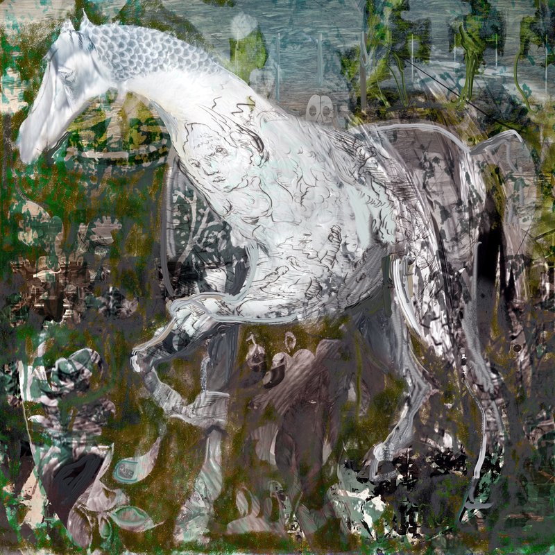 Alex Fischer, Ghost Horse, 2016-01-22, 60×60″ / 1524×1524㎜, print